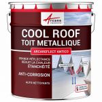 Coolroof, Peinture anti chaleur toit métallique : Arcareflect Antico