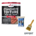 Kit de résine d'étanchéité tuile et toiture: ARCAFILM PACK