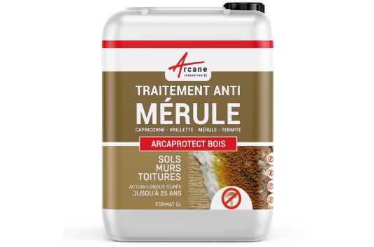 Traitement Anti Mérule