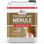 Traitement Anti Mérule