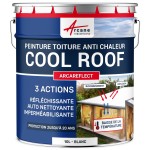 Peinture toiture Coolroof : Arcareflect