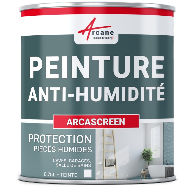 Peinture anti-humidité et anti-moisissure - arcascreen